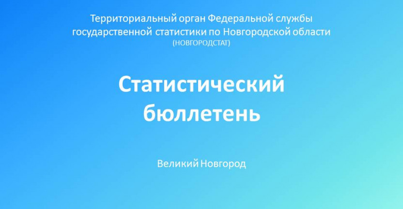 Выпущен статистический бюллетень «Грузовой автотранспорт Новгородской области в 2019 году»